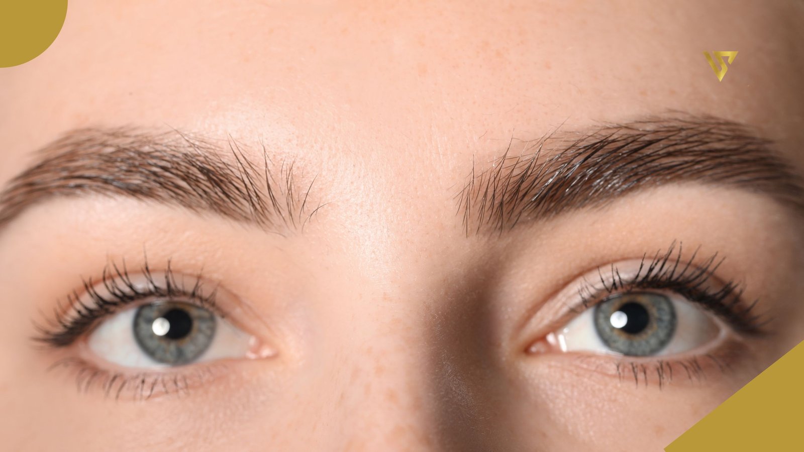 Close-up of a woman’s eyes and well-groomed eyebrows, showcasing eyebrow shape and definition. Which One Is Right for Your Brows? Beauty Spa by Val
